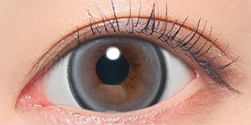 【旧バージョン】ファビュラス(FABULOUS) 度あり メログレー