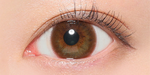 ヴィクトリアワンデー(Victoria 1day) ブラウン