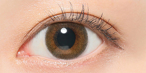 レヴィア ワンデー カラー(ReVIA 1DAY COLOR) ノスタルジア