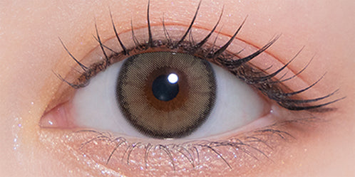 モラクワンデー(MOLAK 1day) ダズルグレー