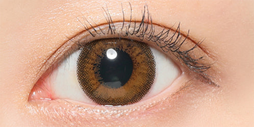 レヴィア ワンデー カラー(ReVIA 1DAY COLOR) プラリネブラン