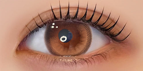 フェレーヌ(ferenne) カフェリア