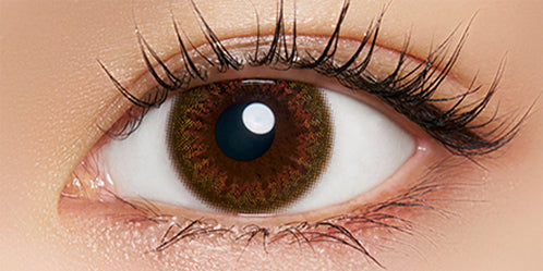 ネオサイトワンデーシエルUV(NeoSight oneday Ciel UV) シエルアクアコーラル