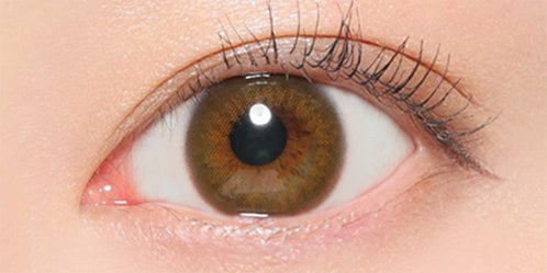 ヴィクトリアワンデー(Victoria 1day) シルキーヴェール