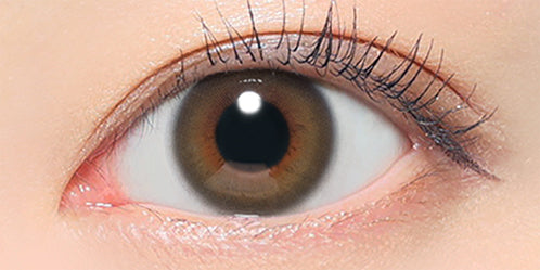 レヴィアマルチフォーカルワンデーカラー(ReVIA MULTIFOCAL 1day COLOR) 【遠近両用:ADD+1.25】ステイミー