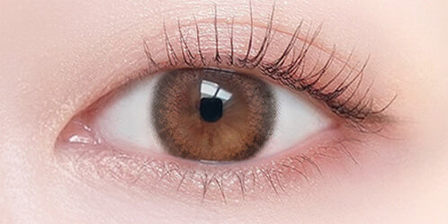 ビュームワンデー(Viewm 1day) 10枚 レディショコラ