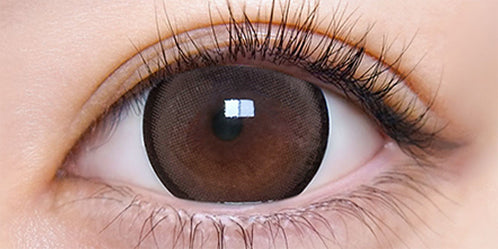 超モテコンウルトラワンデー(MOTECON ULTRA ONE DAY) 超理想リングブラウン