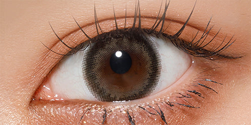 チャロル(CHALOR) ロイブラウン