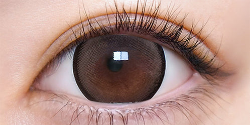 超モテコンウルトラマンスリー(MOTECON ULTRA MONTHLY) 超理想リングブラウン