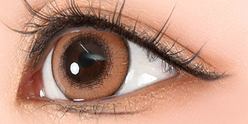 パピーラワンデーシロップ(Puppilla 1Day Syrup) キャラメルシロップ