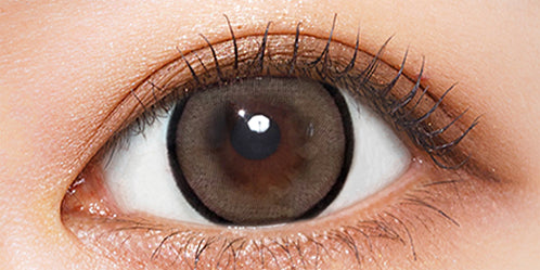 シャルトンワンマンス(Charton 1month) チョコムースパイ