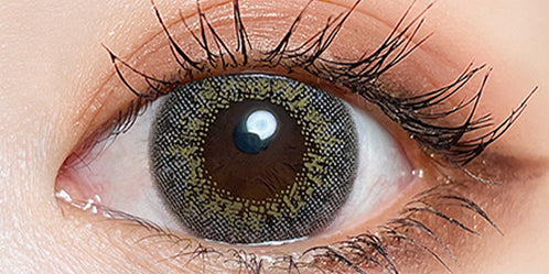 トゥインクルアイズワンデー(Twinkle Eyes 1day) ロシアングレイ