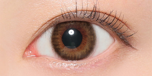 ヴィクトリアワンデー(Victoria 1day) ピュアトレンチ