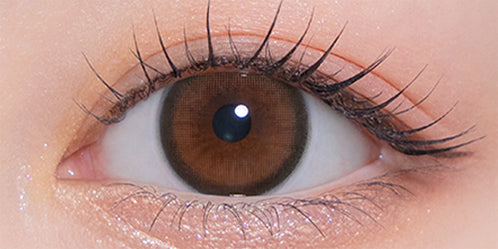 モラクワンデー(MOLAK 1day) ブラウンバニー