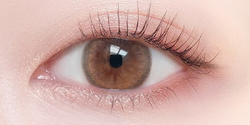 ビュームワンデー(Viewm 1day) 10枚 シナモンヌード