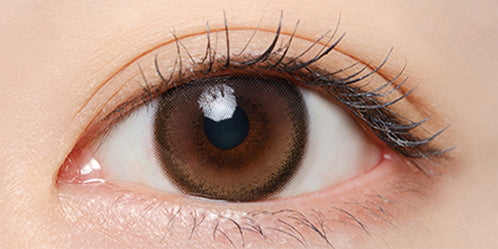 ミフェ(Mifee) エクラブラウン