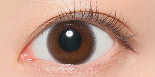 レヴィア ワンデー サークル(ReVIA 1DAY CIRCLE) ムースブラウン