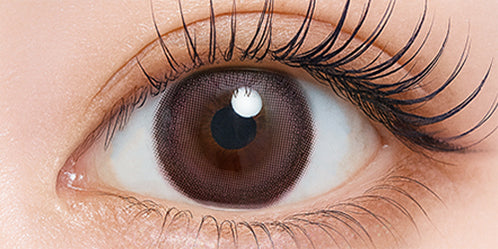 シャルトンワンデー(Charton 1DAY) フィグコンポート