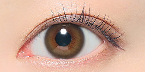 レヴィア ワンデー カラー(ReVIA 1DAY COLOR) ステイミー