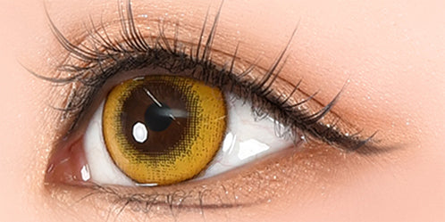 パピーラワンデーシロップ(Puppilla 1Day Syrup) パインシロップ