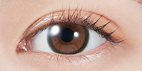 モラクトーリック(MOLAK toric) 【乱視用:乱視度数:-0.75D】ブラウンバニートーリック