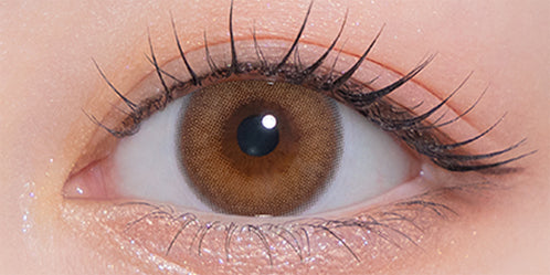 モラクワンデー(MOLAK 1day) サクラスモア