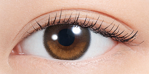 エヌズコレクション(N's COLLECTION) どら焼き