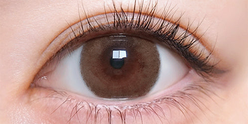 トリコニナル(TORICONINARU) ゾッコンブラウン