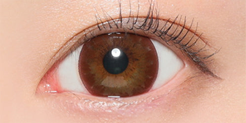 ヴィクトリアワンデー(Victoria 1day) チョコレート