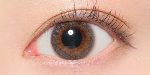 ヴィクトリアワンデー(Victoria 1day) ダスティグレー