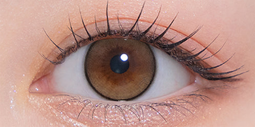 モラクワンマンス(MOLAK 1month) ドーリッシュブラウン