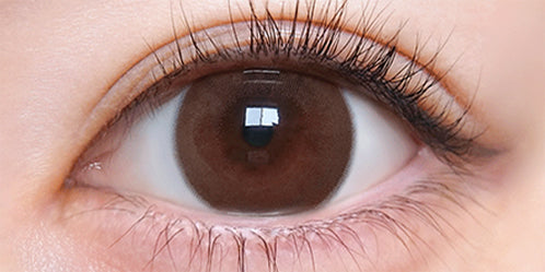 トリコニナル(TORICONINARU) トリコブラウン