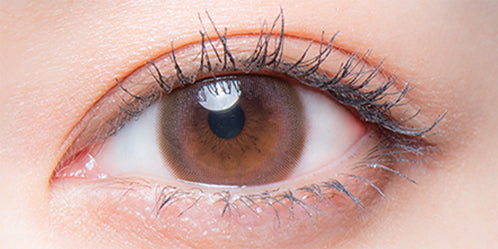 メロット(melotte) ロマンティックローズ