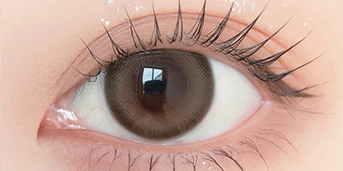 アンヴィシリコーンハイドロゲルワンデー(envie SILICONE HYDROGEL 1DAY) ブランチョコ