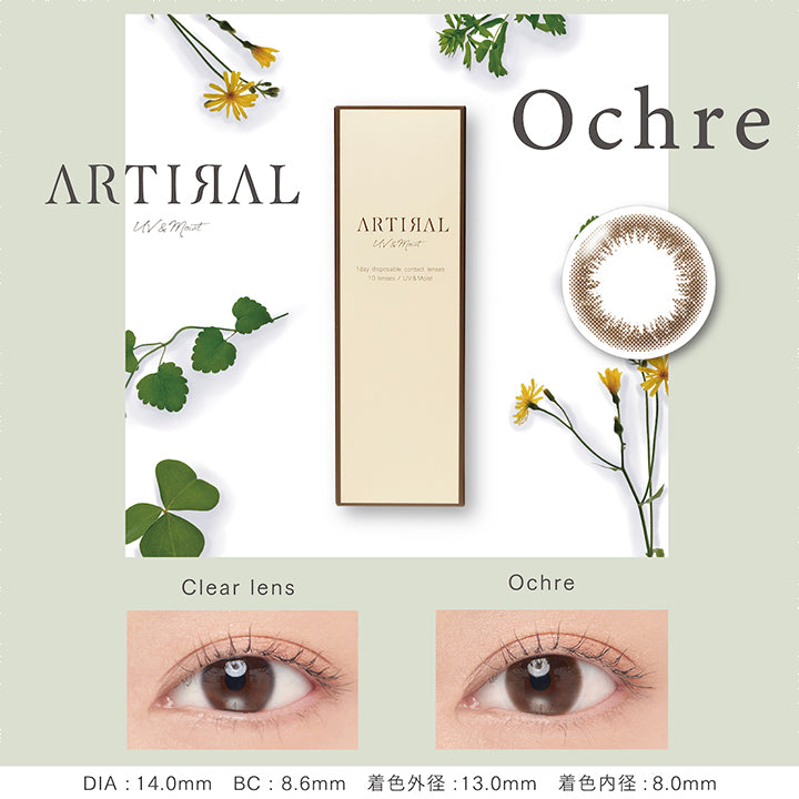 アーティラルユーヴイモイストワンデー(ARTIRAL UV&MOIST 1day),Ochre,オークル,1箱10枚入,DIA14.0mm,BC8.6mm,着色外径13.0mm,着色内径8.0mm,カラコン,カラーコンタクト
