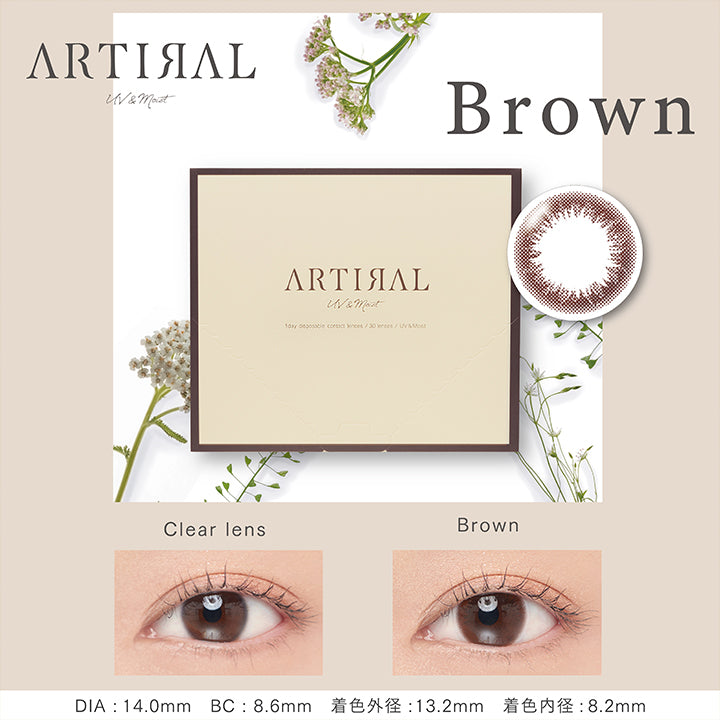 アーティラルユーヴイモイストワンデー(ARTIRAL UV&MOIST 1day),Brown,ブラウン,1箱30枚入,DIA14.0mm,BC8.6mm,着色外径13.2mm,着色内径8.2mm,カラコン,カラーコンタクト