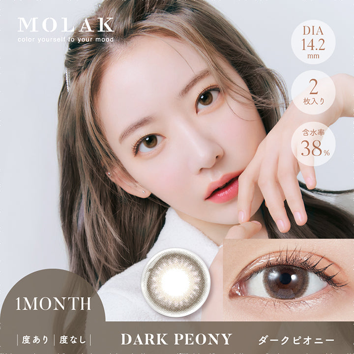 モラクマンスリー,ブランドロゴ,DARK PEONY(ダークピオニー),  DIA14.2mm, 1箱2枚入り,含水率38%,MONTHRY(マンスリー),度あり・度なし |MOLAK(モラク)マンスリーコンタクトレンズ