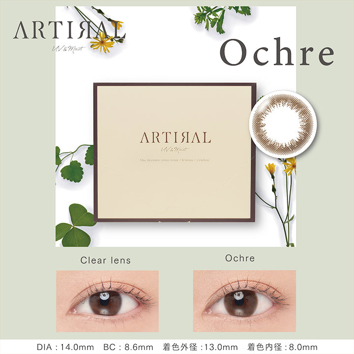 アーティラルユーヴイモイストワンデー(ARTIRAL UV&MOIST 1day),Ochre,オークル,1箱30枚入,DIA14.0mm,BC8.6mm,着色外径13.0mm,着色内径8.0mm,カラコン,カラーコンタクト
