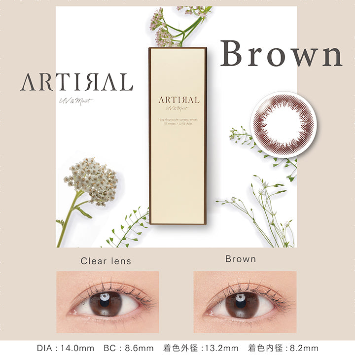 アーティラルユーヴイモイストワンデー(ARTIRAL UV&MOIST 1day),Brown,ブラウン,1箱10枚入,DIA14.0mm,BC8.6mm,着色外径13.2mm,着色内径8.2mm,カラコン,カラーコンタクト