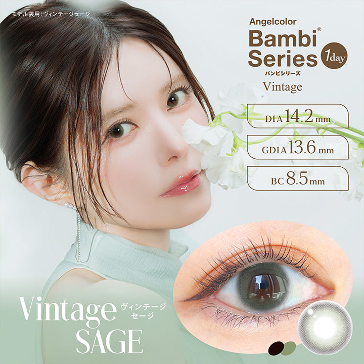 Vintage Sage, ヴィンテージセージ, Angelcolor Bambi Series Vintage 1day バンビシリーズ, DIA14.2mm, GDIA13.6mm, BC8.5mm, モデル装用:ヴィンテージセージ  | エンジェルカラーバンビシリーズヴィンテージワンデー Angelcolor Bambi Series Vintage 1day カラコン カラーコンタクト