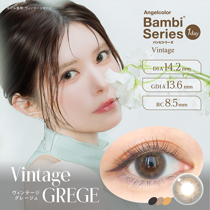 Vintage Grege, ヴィンテージグレージュ, Angelcolor Bambi Series Vintage 1day バンビシリーズ, DIA14.2mm, GDIA13.6mm, BC8.5mm, モデル装用:ヴィンテージセージ  | エンジェルカラーバンビシリーズヴィンテージワンデー Angelcolor Bambi Series Vintage 1day カラコン カラーコンタクト
