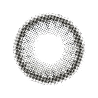 フランミー(FLANMY) ソルティーバニラ