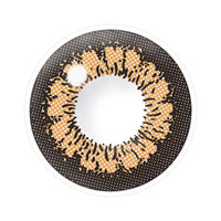 キャンディーマジックワンデー(candymagic 1day) キングブラウン