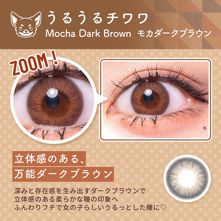 うるうるチワワ(Mocha Dark Brown), フルーリーバイカラーズ(Flurry by colors), 甘くて、可愛くて、美しい, DIA14.5mm, 着色直径14.0mm, UVカット, 含水率58%, 保湿成分配合, うるうるチワワ, Mocha Dark Brown(モカダークブラウン), 黒目装用, 茶目装用, 立体感のある、万能ダークブラウン, 深みと存在感を生み出すダークブラウンで立体感のある柔らかな瞳の印象へ。ふんわりフチで女の子らしいうるっとした瞳に♡ | フルーリーバイカラーズ Flurry by colors 1day カラコン カラーコンタクト