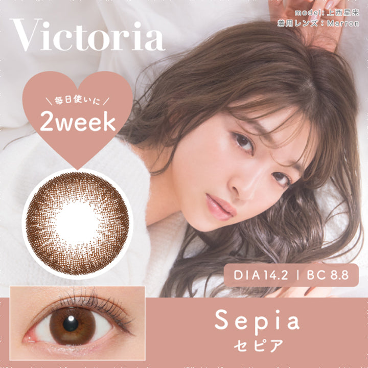 ヴィクトリア2ウィーク(Victoria 2week),ブランドロゴ,Sepia(セピア),毎日使いに,DIA14.2mm,BC8.8|ヴィクトリア2ウィーク(Victoria 2week)コンタクトレンズ