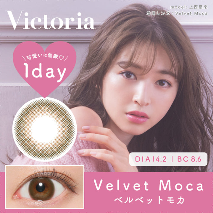 ヴィクトリアワンデー(Victoria 1day) ベルベットモカ