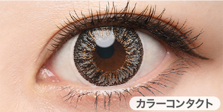 スパイシーグレーの装用写真,DIA14.5mm,着色外径13.7mm|ドープウィンクワンデー(DopeWink1day)コンタクトレンズ