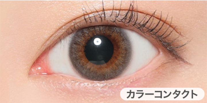 ダスティグレーの装用写真,DIA14.2mm|ヴィクトリアワンデー(Victoria 1day)コンタクトレンズ