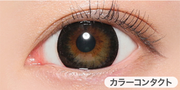 ブラックの装用写真,DIA14.2mm|ヴィクトリアワンデー(Victoria 1day)コンタクトレンズ