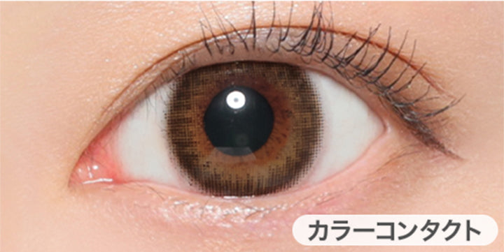 ピュアトレンチの装用写真,DIA14.2mm|ヴィクトリアワンデー(Victoria 1day)コンタクトレンズ